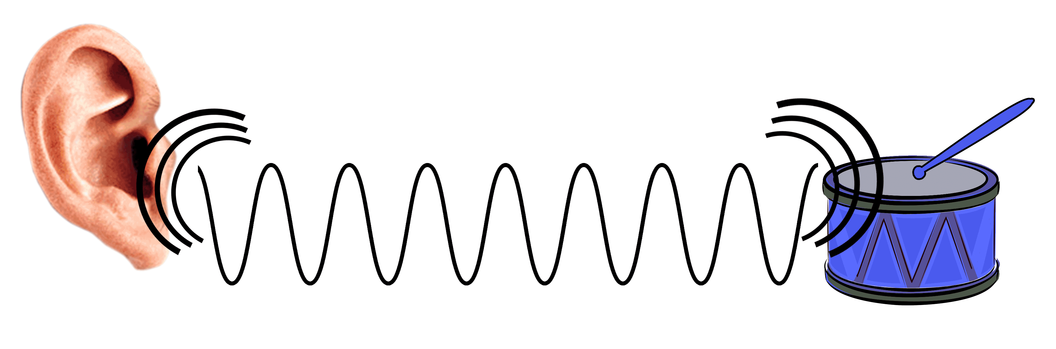 Drum Vibrating Creating Sound Wave